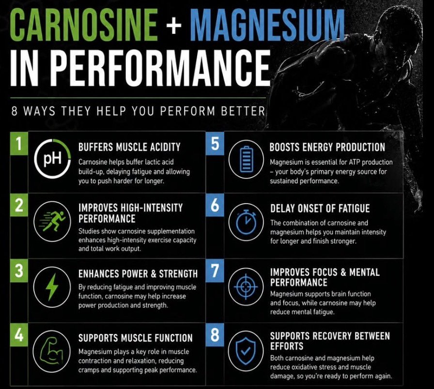 Screenshot • Sports Rewind Media Infographic showing eight benefits of carnosine and magnesium for performance: 1 buffers muscle acidity, 2 improves high-intensity performance, 3 enhances power and strength, 4 supports muscle function, 5 boosts energy production, 6 delays fatigue onset, 7 improves focus and mental performance, 8 supports recovery between efforts.